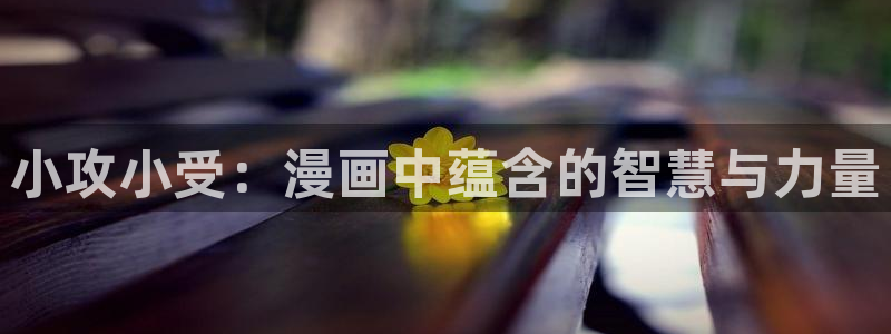 韩漫漫画动漫：小攻小受：漫画中蕴含的智慧与力量