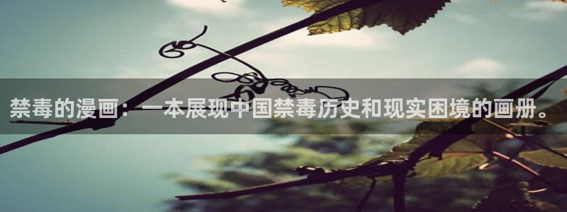韩漫漫画免费下拉式完整版：禁毒的漫画：一本展现中国禁毒历史和现实困境的画册。