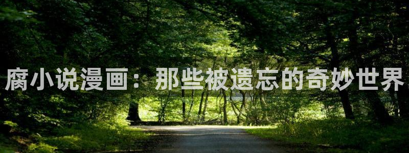 韩漫漫画免费阅读全集在线观看：腐小说漫画：那些被遗忘的奇妙世界