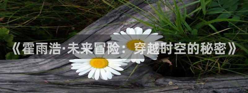 韩漫漫画hm：《霍雨浩·未来冒险：穿越时空的秘密》